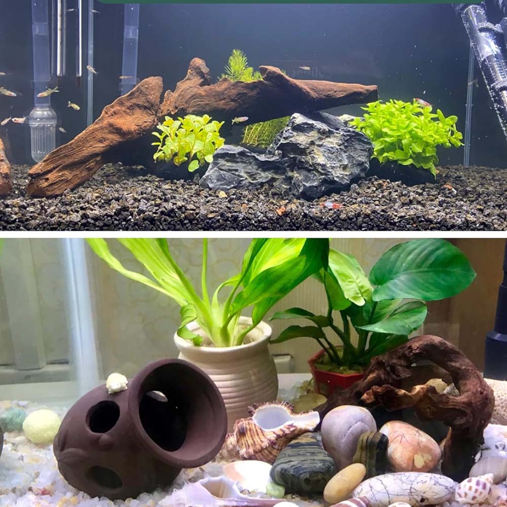 3 buah drinatural-Look Set Dri - Aquarium Planted Wood ulasan dan harga