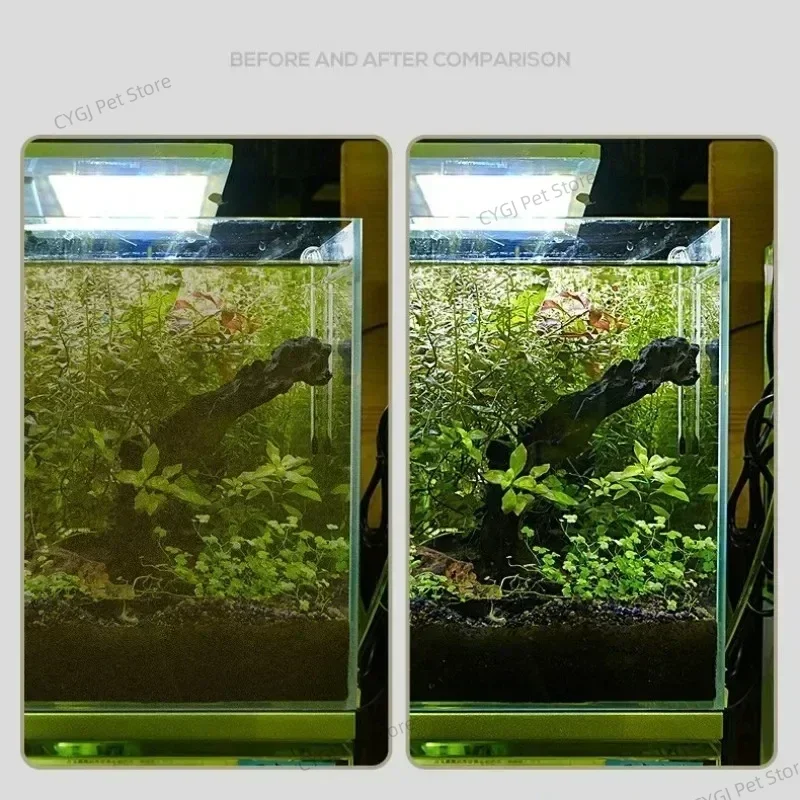 Alat Pembersih Tangki Ikan Pen - Planted Aquarium Tools ulasan dan harga