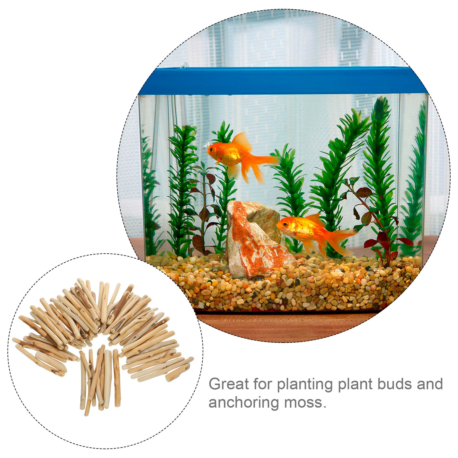 1Set Hiasan Kayu Apung Alami P - Planted Aquarium Ph ulasan dan harga