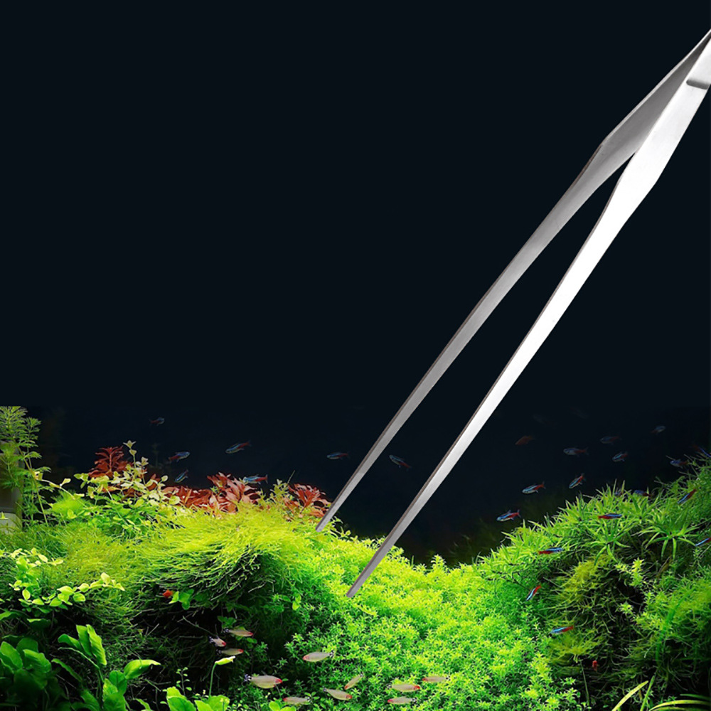Aksesoris akuarium baja antika - Planted Aquarium Tools ulasan dan harga