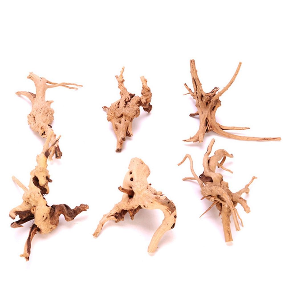 Kayu N1N Dekorasi Akuarium Lan - Aquarium Planted Wood ulasan dan harga