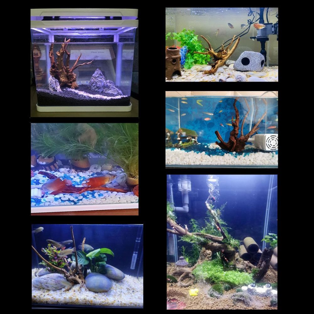 Kayu Apung Akuarium Besar 20-2 - Aquarium Planted Wood ulasan dan harga