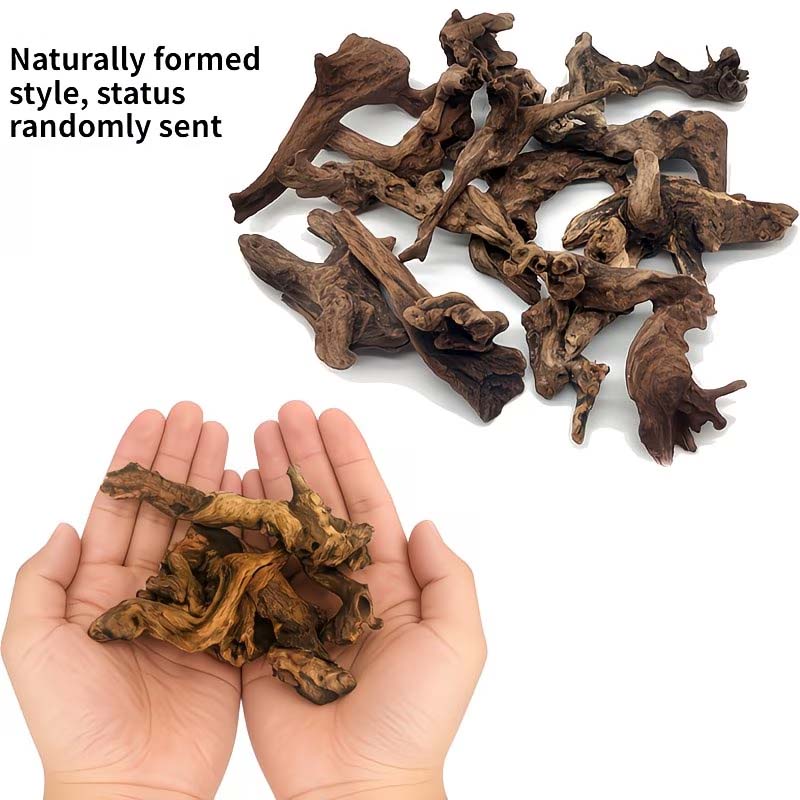Kayu Apung Alami 5-10CM untuk  - Aquarium Planted Wood ulasan dan harga